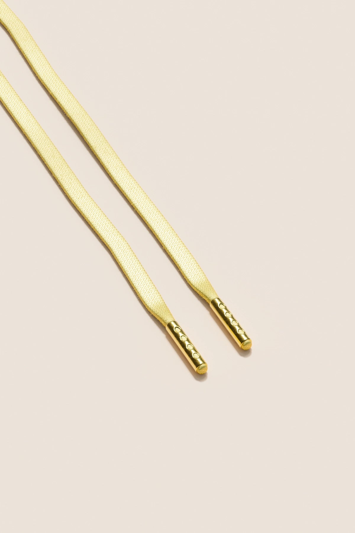 Senkels シャルドネ 3mm フラットワックス靴ひも ゴールドアグレット付き
