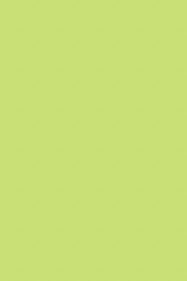 パステルグリーン- 3mm フラットワックス靴ひも